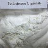 buy testosterone cypionate powder