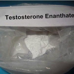 Testosterone enanthate powder