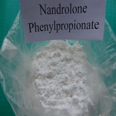 buy nandrolone phenylpropionate powder